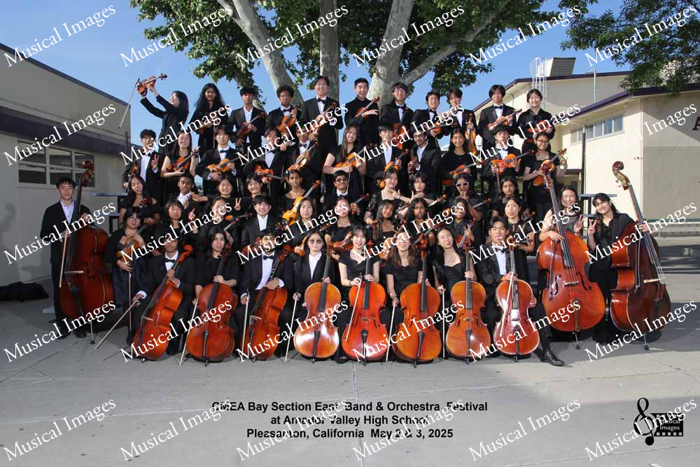 Musical Images